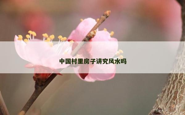 中國村里房子講究風水嗎