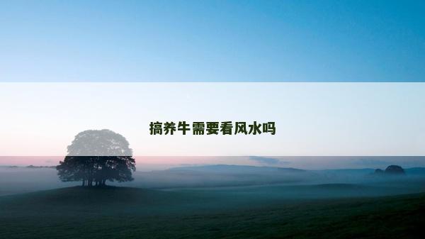 搞養牛需要看風水嗎