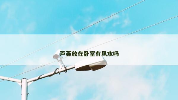 蘆薈放在臥室有風水嗎