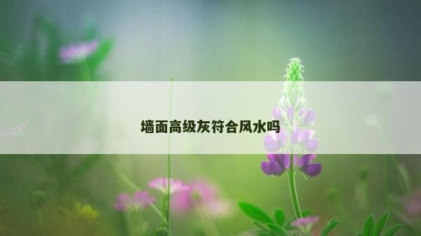 墻面高級灰符合風(fēng)水嗎