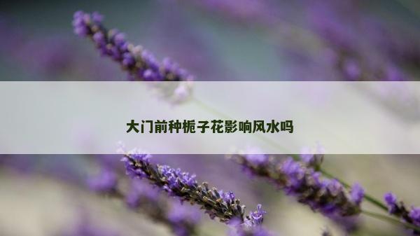 大門前種梔子花影響風水嗎