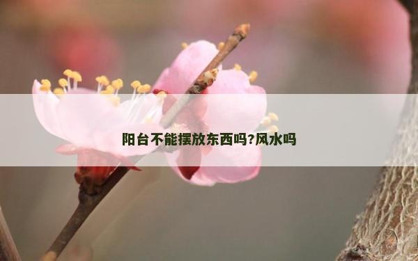 陽臺不能擺放東西嗎?風水嗎
