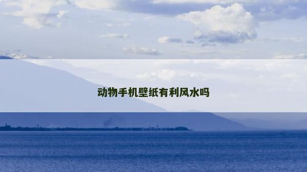 動(dòng)物手機(jī)壁紙有利風(fēng)水嗎