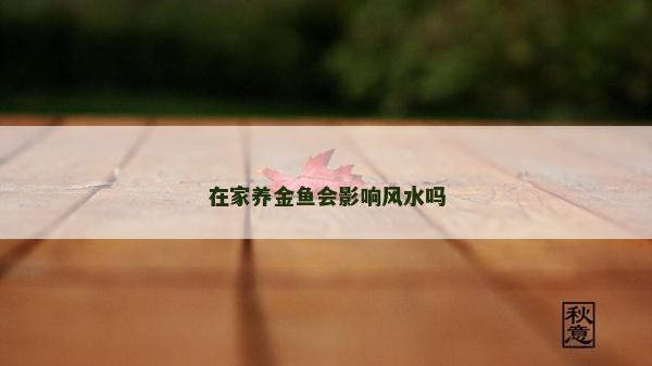 在家養金魚會影響風水嗎