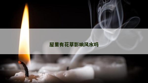 屋里有花草影響風水嗎