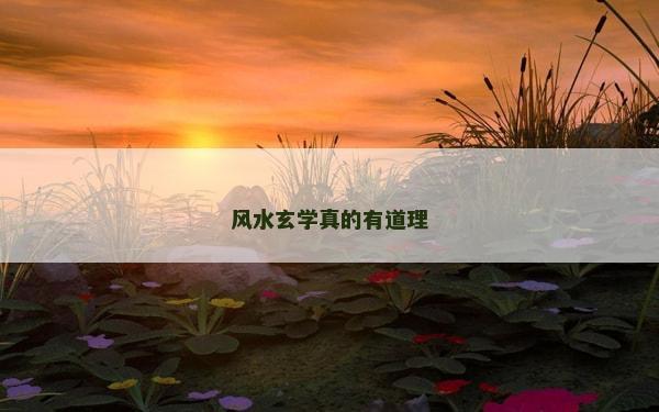 風水玄學真的有道理