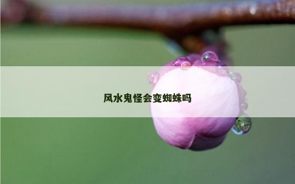 風水鬼怪會變蜘蛛嗎