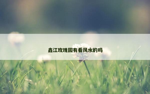 鑫江玫瑰園有看風(fēng)水的嗎