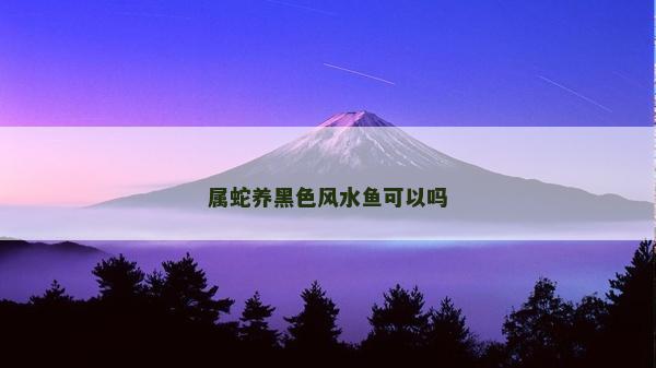 屬蛇養(yǎng)黑色風水魚可以嗎 屬蛇養(yǎng)黑色風水魚可以嗎