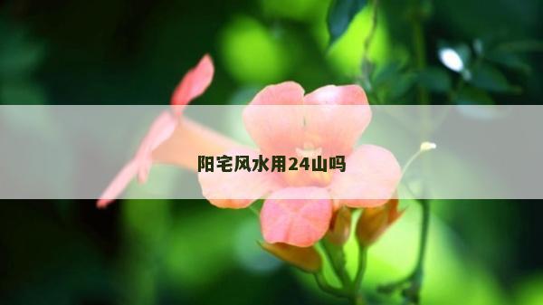 陽宅風水用24山嗎