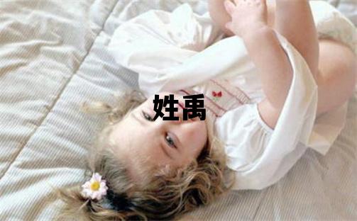 姓禹叫什么名字好 姓禹的男孩朗朗上口的名字