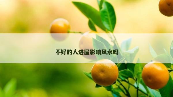 不好的人進(jìn)屋影響風(fēng)水嗎
