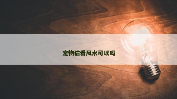 寵物貓看風水可以嗎