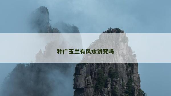 種廣玉蘭有風(fēng)水講究嗎 種廣玉蘭有風(fēng)水講究嗎