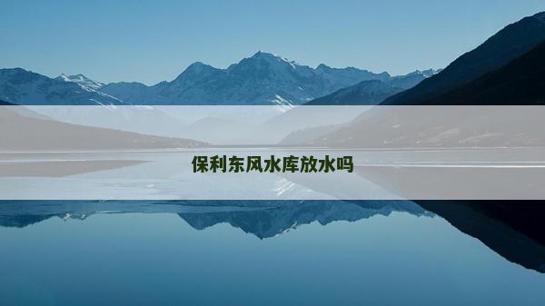 保利東風(fēng)水庫(kù)放水嗎