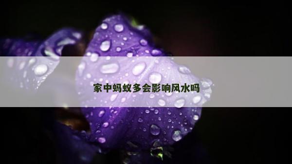 家中螞蟻多會(huì)影響風(fēng)水嗎