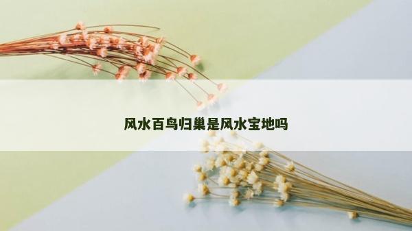 風水百鳥歸巢是風水寶地嗎 風水百鳥歸巢是風水寶地嗎