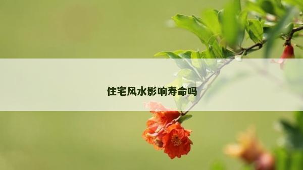 住宅風水影響壽命嗎