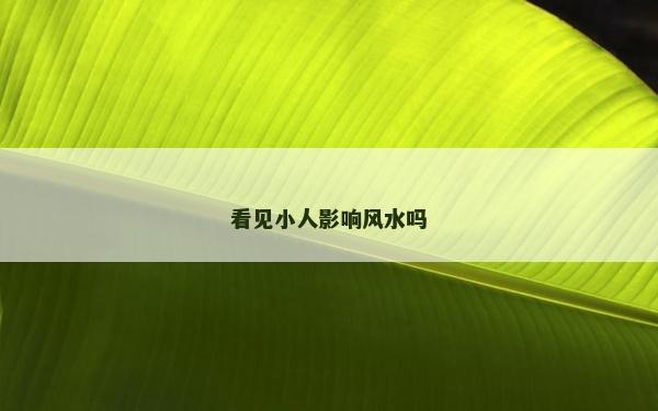看見小人影響風(fēng)水嗎