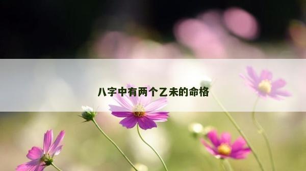 八字中有兩個乙未的命格 八字中有兩個乙未的命格