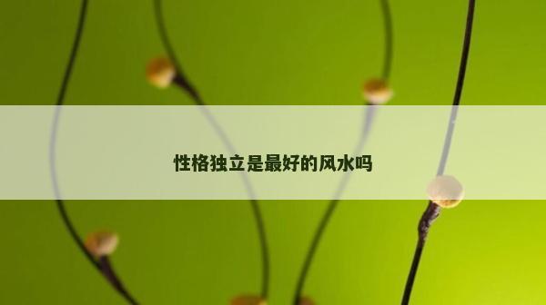 性格獨立是最好的風水嗎