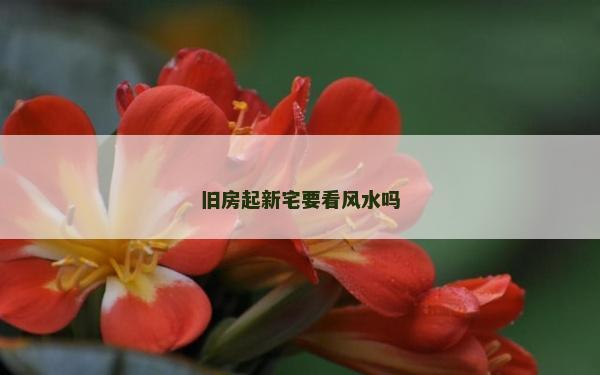 舊房起新宅要看風水嗎