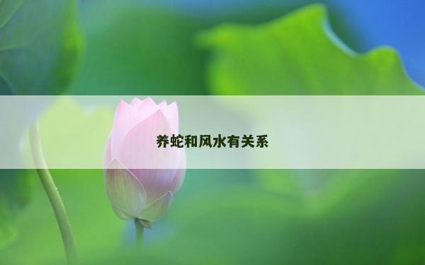 養(yǎng)蛇和風水有關系 養(yǎng)蛇和風水有關系