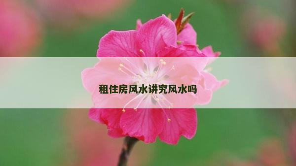 租住房風水講究風水嗎