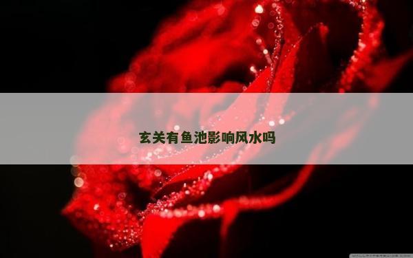 玄關(guān)有魚池影響風水嗎