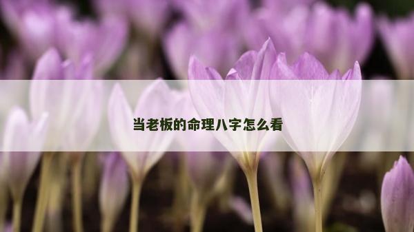 當(dāng)老板的命理八字怎么看