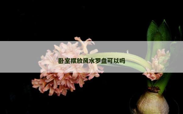 臥室擺放風(fēng)水羅盤可以嗎 臥室擺放風(fēng)水羅盤可以嗎