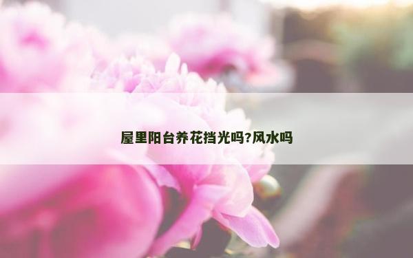 屋里陽臺養花擋光嗎?風水嗎