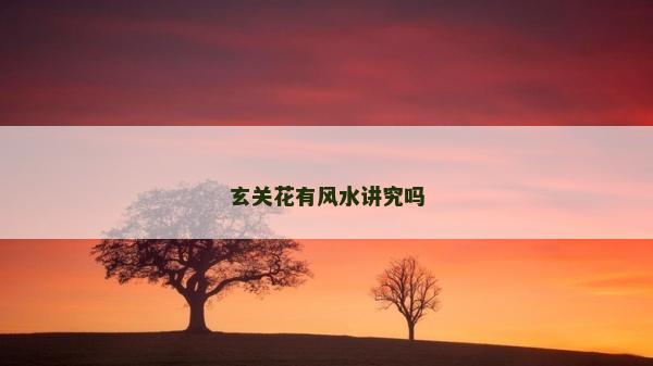 玄關(guān)花有風水講究嗎