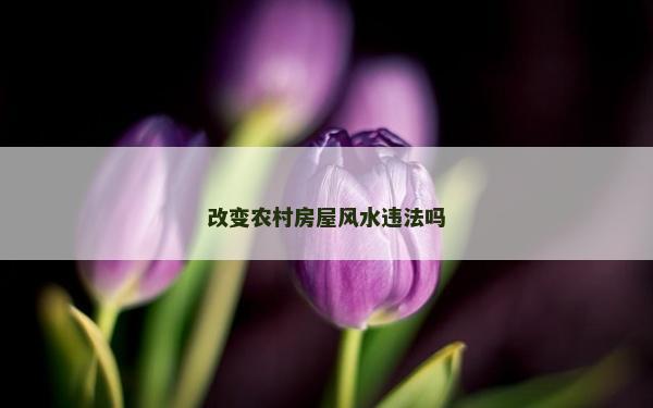 改變農村房屋風水違法嗎