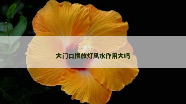 大門口擺放燈風水作用大嗎