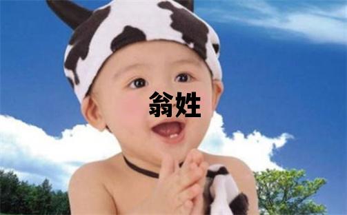 翁姓有創意的男孩名字,取什么名字好