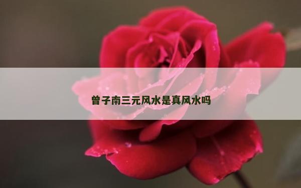 曾子南三元風水是真風水嗎