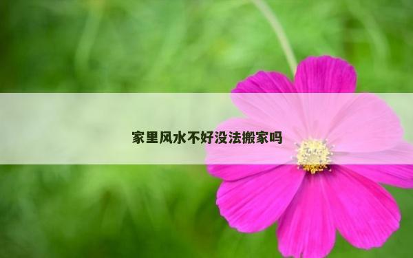 家里風水不好沒法搬家嗎