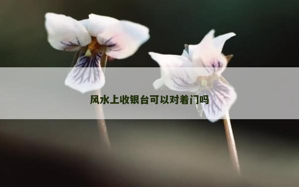 風水上收銀臺可以對著門嗎