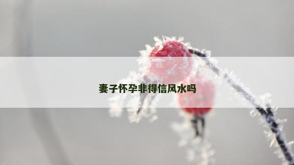 妻子懷孕非得信風(fēng)水嗎