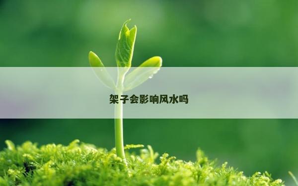 架子會影響風水嗎