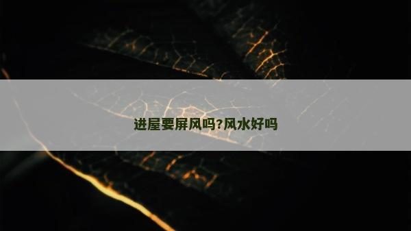 進屋要屏風嗎?風水好嗎 進屋要屏風嗎?風水好嗎