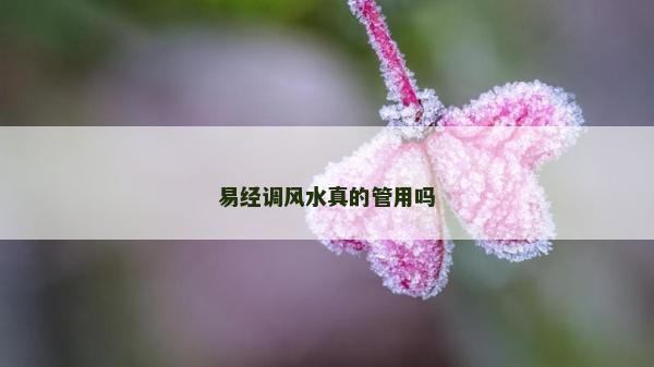 易經(jīng)調(diào)風(fēng)水真的管用嗎