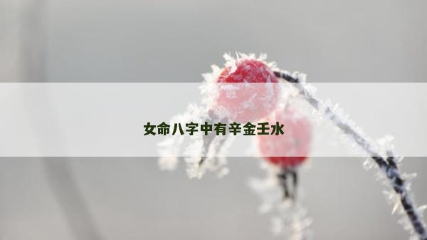 女命八字中有辛金壬水 女命八字中有辛金壬水