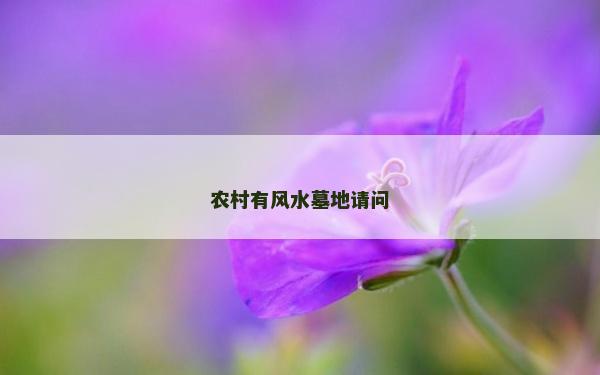 農村有風水墓地請問 農村有風水墓地請問