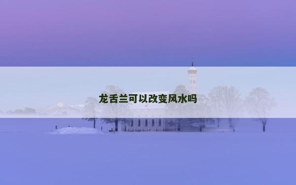 龍舌蘭可以改變風水嗎