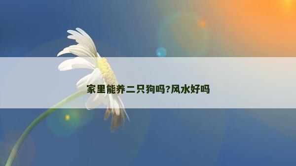 家里能養(yǎng)二只狗嗎?風(fēng)水好嗎
