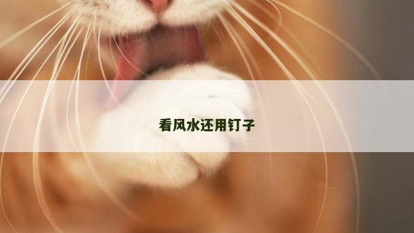 看風水還用釘子 看風水還用釘子