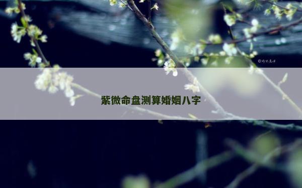 紫微命盤測算婚姻八字