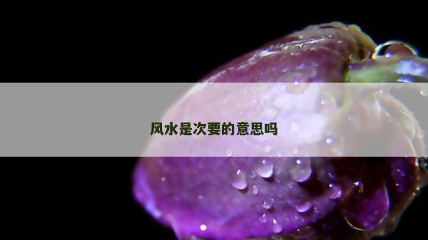 風水是次要的意思嗎